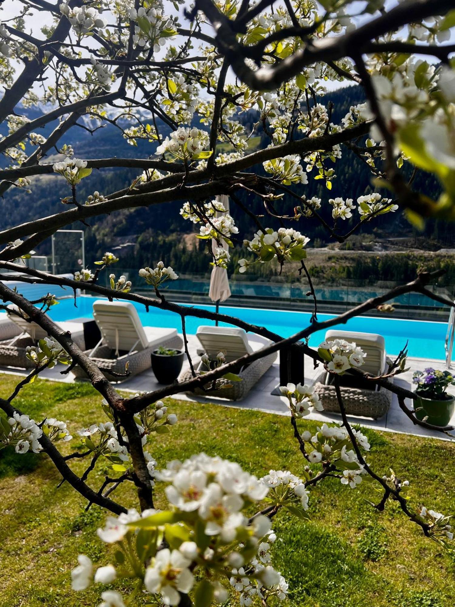Boutique Apartment Sonnenhang - Incl Rooftop Spa フリース エクステリア 写真